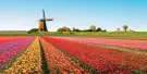 Keukenhof Tickets Keukenhof Tickets