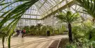 Kew Gardens Tickets Kew Gardens Tickets