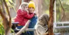 Koala Conservation Reserve Tickets