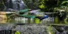 Kuala Lumpur Bird Park Tickets Kuala Lumpur Bird Park Tickets