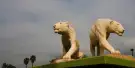 La Brea Tar Pits Museum Tickets La Brea Tar Pits Museum Tickets