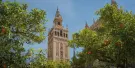 La Giralda Tickets