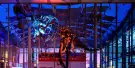 California Academy of Sciences Tickets California Academy of Sciences Tickets