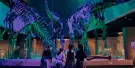 Lee Kong Chian Natural History Museum Tickets