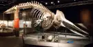 National Museum of Singapore Tickets National Museum of Singapore Tickets