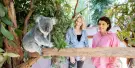 Lone Pine Koala Sanctuary Tickets Lone Pine Koala Sanctuary Tickets