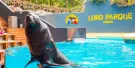 Loro Parque Tickets Loro Parque Tickets