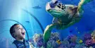 SEA LIFE at Mall of America Tickets SEA LIFE at Mall of America Tickets