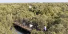 Jubail Mangrove Park Tickets Jubail Mangrove Park Tickets