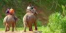 Mason Elephant Park Bali Tickets Mason Elephant Park Bali Tickets