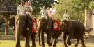 Mason Elephant Park Bali Tickets Mason Elephant Park Bali Tickets