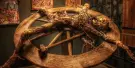 Medieval Torture Museum Chicago Tickets Medieval Torture Museum Chicago Tickets