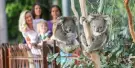 Melbourne Zoo Tickets