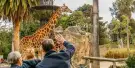 Melbourne Zoo Tickets