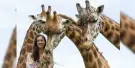 Mogo Wildlife Park Tickets Mogo Wildlife Park Tickets