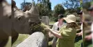 Mogo Wildlife Park Tickets Mogo Wildlife Park Tickets