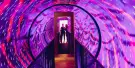 Museum of Illusions Dubai Tickets Museum of Illusions Dubai Tickets