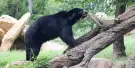 Nashville Zoo at Grassmere Tickets Nashville Zoo at Grassmere Tickets