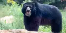Nashville Zoo at Grassmere Tickets Nashville Zoo at Grassmere Tickets