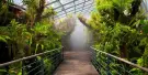National Orchid Garden Tickets National Orchid Garden Tickets