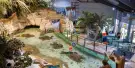 National SEA LIFE Centre Birmingham Tickets National SEA LIFE Centre Birmingham Tickets
