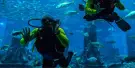 Nemo Diving Center Tickets Nemo Diving Center Tickets