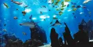 Oceanário de Lisboa Tickets