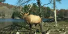 Omega Park Tickets