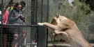 Orana Wildlife Park Tickets