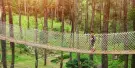 Orchid Forest Cikole Tickets Orchid Forest Cikole Tickets
