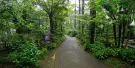 Orchid Forest Cikole Tickets Orchid Forest Cikole Tickets