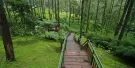 Orchid Forest Cikole Tickets Orchid Forest Cikole Tickets