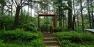 Orchid Forest Cikole Tickets Orchid Forest Cikole Tickets