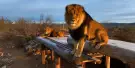 Out of Africa Wildlife Park Tickets Out of Africa Wildlife Park Tickets