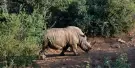 Out of Africa Wildlife Park Tickets Out of Africa Wildlife Park Tickets