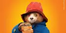 The Paddington Bear Experience Tickets The Paddington Bear Experience Tickets