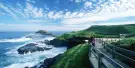 Phillip Island Tours Phillip Island Tours