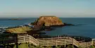Phillip Island Nature Parks Tickets Phillip Island Nature Parks Tickets