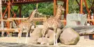 Zoo Aquarium de Madrid Tickets Zoo Aquarium de Madrid Tickets