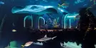 Poema del Mar Aquarium Tickets Poema del Mar Aquarium Tickets