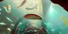 Poema del Mar Aquarium Tickets