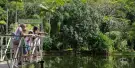 Rainforestation Nature Park Tickets Rainforestation Nature Park Tickets