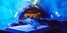 Aquaria Phuket Tickets Aquaria Phuket Tickets