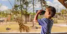 Safaripark Beekse Bergen Tickets