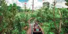 Safari World Bangkok Tickets Safari World Bangkok Tickets