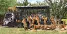 Safari World Bangkok Tickets Safari World Bangkok Tickets