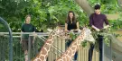 Schonbrunn Zoo Vienna Tickets Schonbrunn Zoo Vienna Tickets