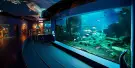 Istanbul SEA LIFE Aquarium Tickets Istanbul SEA LIFE Aquarium Tickets