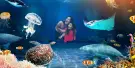 SEA LIFE London Aquarium Tickets SEA LIFE London Aquarium Tickets