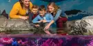 Sea Life Michigan Aquarium Tickets Sea Life Michigan Aquarium Tickets